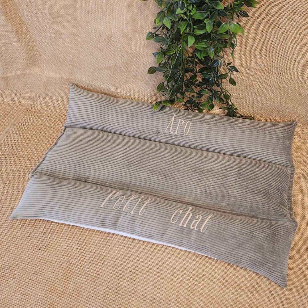 Coussin Grenouille pour Chat
