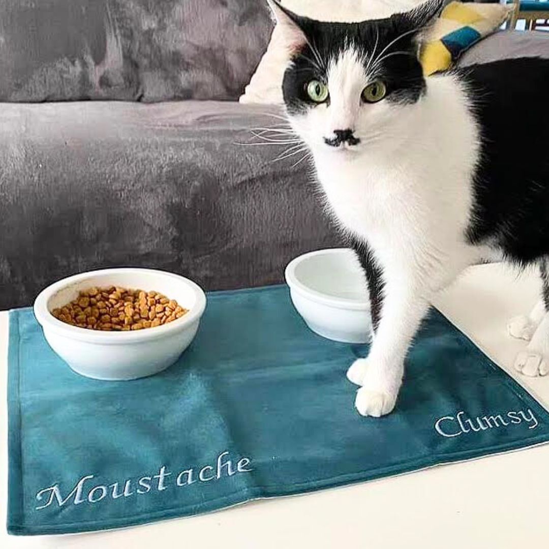 Waterproof Cat Bowl Mat - Thread Embroidered