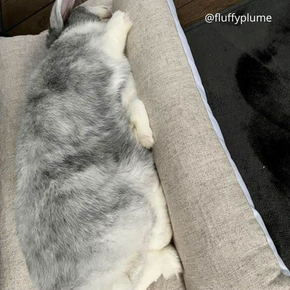 Coussin Grenouille LAPIN - Spécial été - LIN naturel