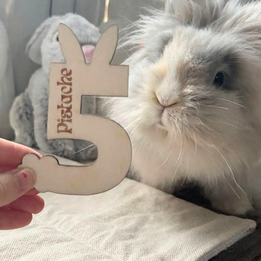 Chiffre en bois Lapiversaire 🎂 + Gravure personnalisée