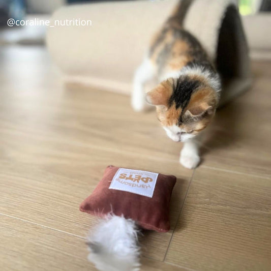 Joujou pour chat - Velours lisse