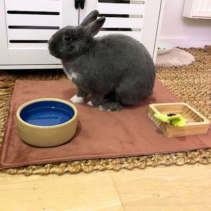Waterproof Cat Bowl Mat - Thread Embroidered