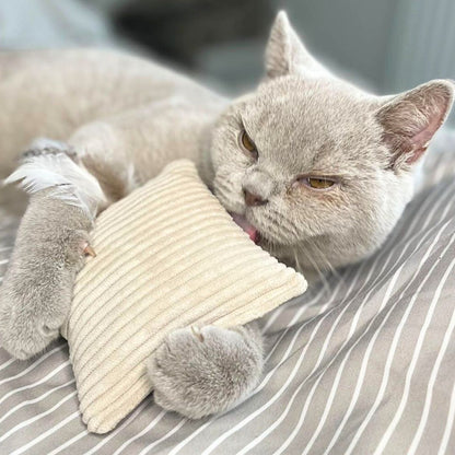 Joujou pour chat - Velours côtelé