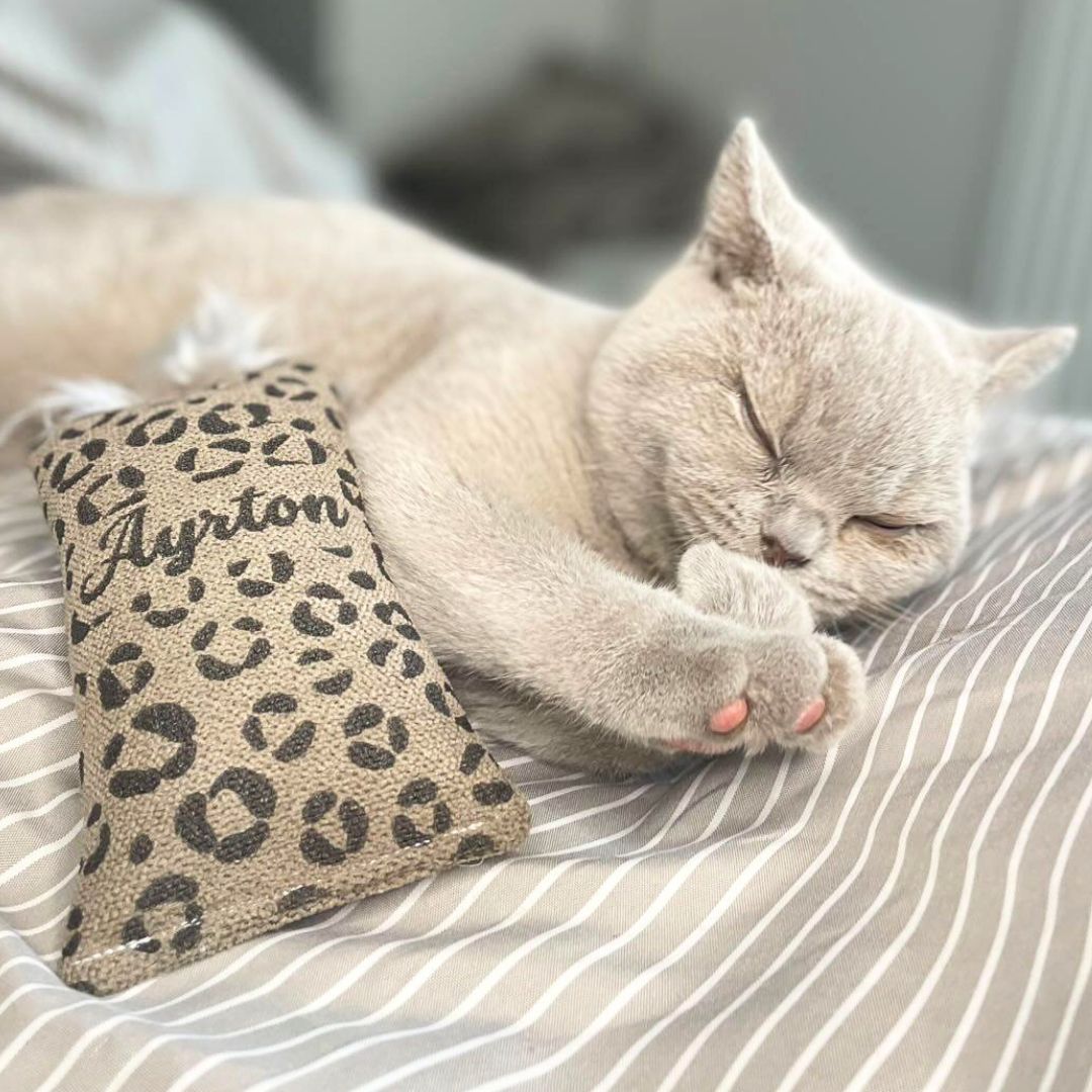 Joujou pour chat - Lainage