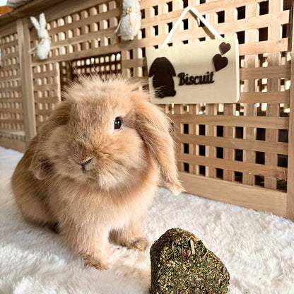 Personalized rectangular sign SOLO - Several possible illustrations (Light wood)