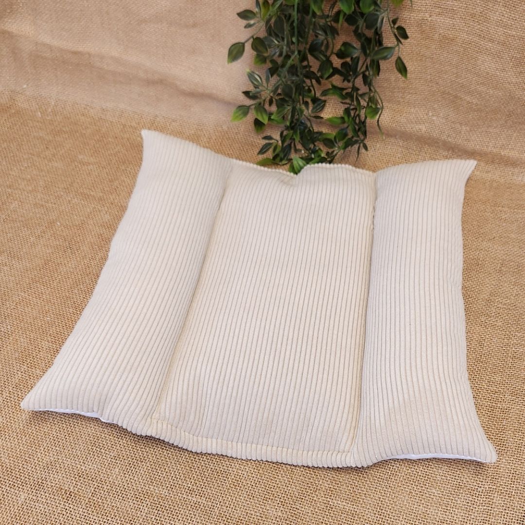 Coussin Grenouille pour Chat