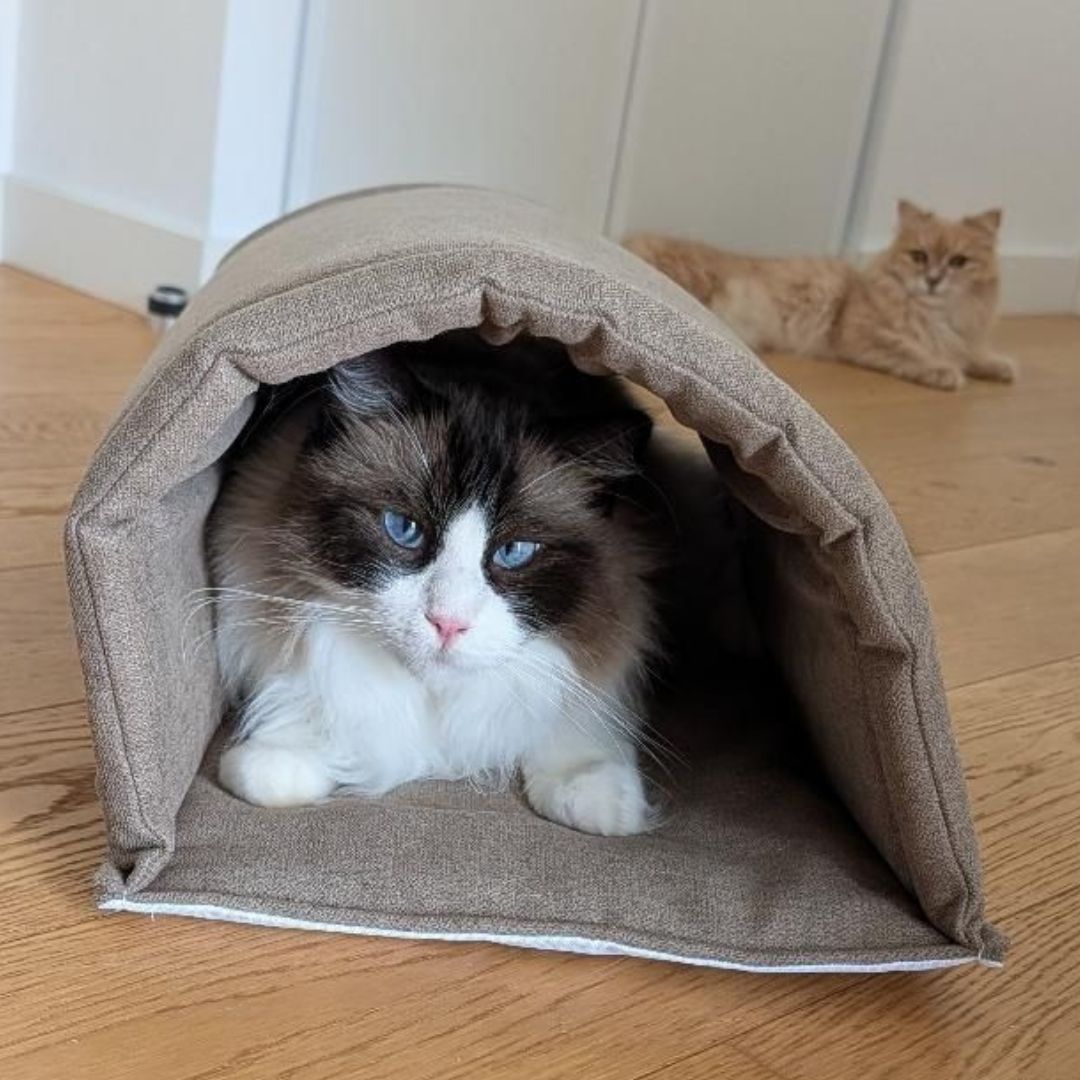 Tunnel imperméable - Lainage
